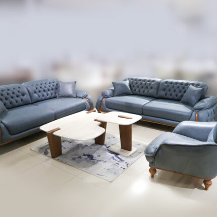 Garnitura Versace 3+3+1 – Neron 11 svetlo sivo