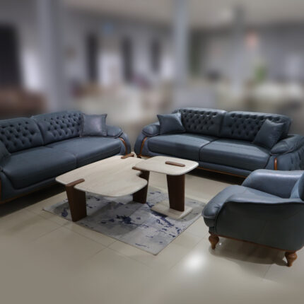 Garnitura Versace 3+3+1 – Neron 11 svetlo sivo